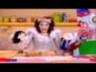 שושנת יעקב - פורים