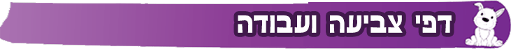 דפי צביעה ועבודה