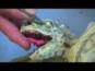איך ליצור דינוזאור מעיסת נייר