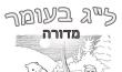 לג בעומר - מדורה