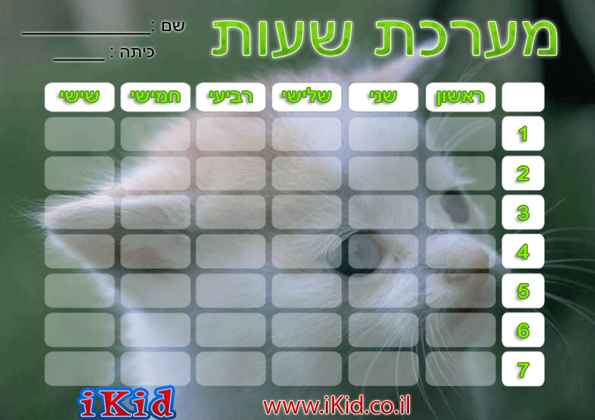 מערכת שעות חתול