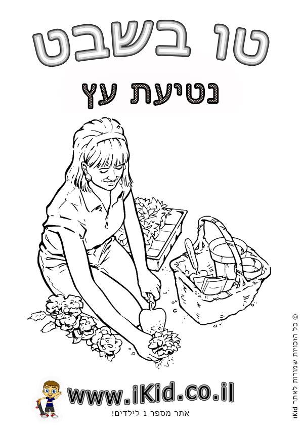 טו בשבט - נטיעת עץ