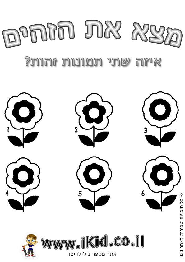 פרחים זהים