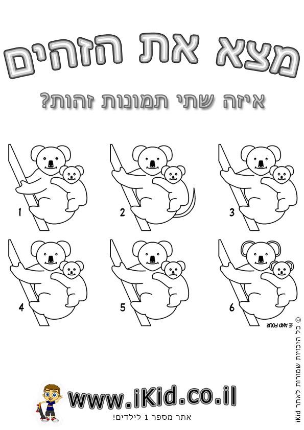 דובי קואלה זהים