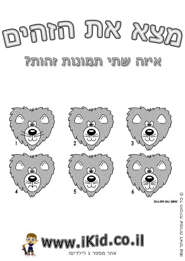 אריות זהים