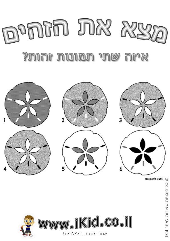 צורות זהות