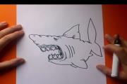 איך מציירים כריש