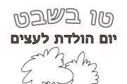 טו בשבט - עץ