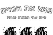 דגים זהים