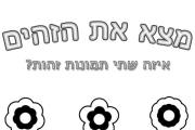 פרחים זהים