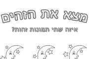 ירחים זהים