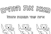 דובי קואלה זהים