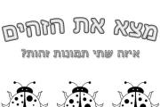 חיפושיות זהות