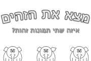 פילים זהים