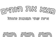 אריות זהים