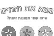 צורות זהות