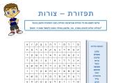 תפזורת - צורות