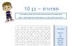 תפזורת - בן 10