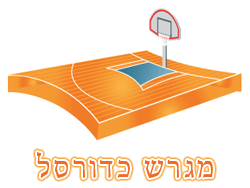 מגרש כדורסל