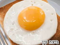 ביצת עין